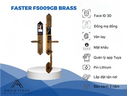 Khóa Thông Minh Đại Sảnh Sang Trọng Mạ Đồng Faster FS009 GB BRASS